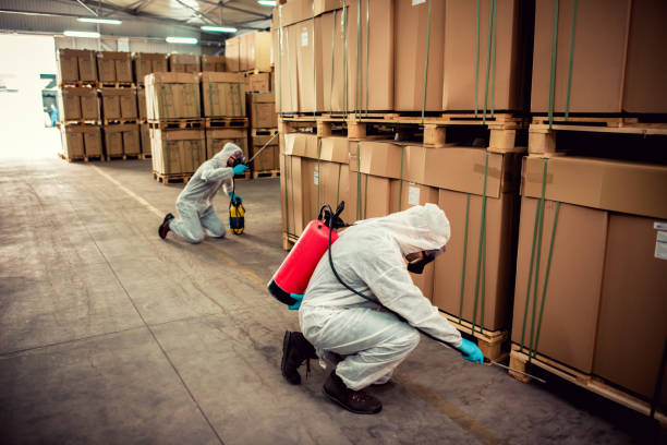 Best Flea Control Services  in St Charles, MI