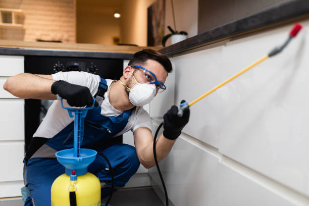 Pest Control Cost in St Charles, MI