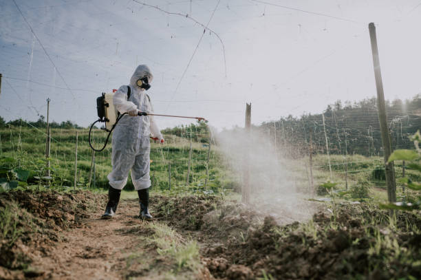Best Mosquito Control Services  in St Charles, MI