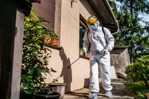 Best Rodent Control Near Me  in St Charles, MI