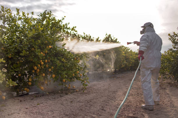 Best Commercial Pest Control Services  in St Charles, MI