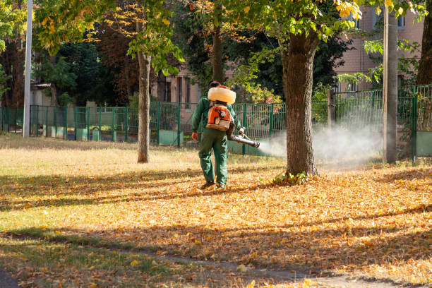 Bird Control in St Charles, MI