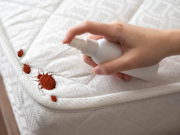 Best Wildlife Control Services  in St Charles, MI