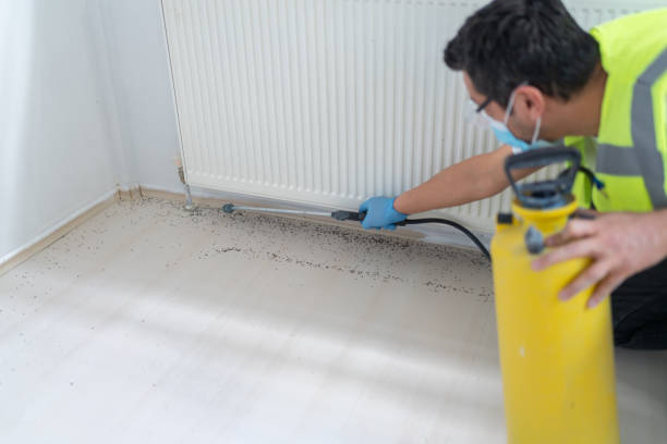 Best Termite Control Services  in St Charles, MI
