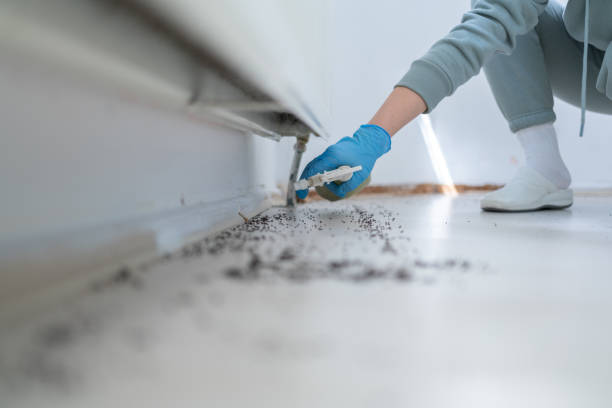 Best Exterminator Services  in St Charles, MI