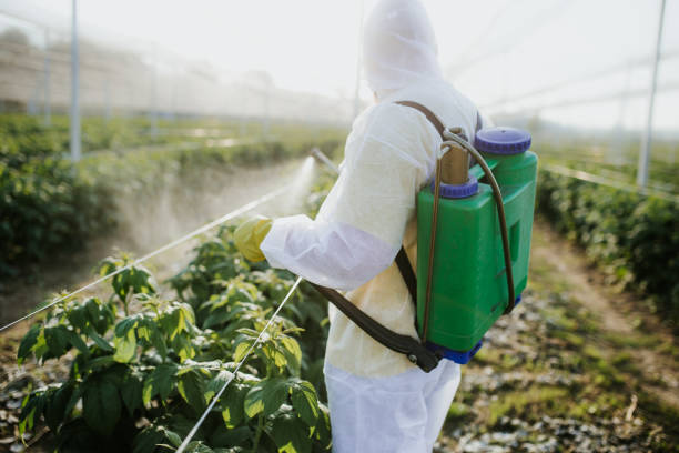 Best Pest Control Cost  in St Charles, MI